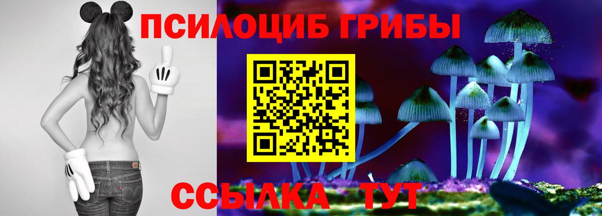 Галлюциногенные грибы мицелий Изобильный